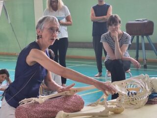 Les après-midi de supervision d’IF